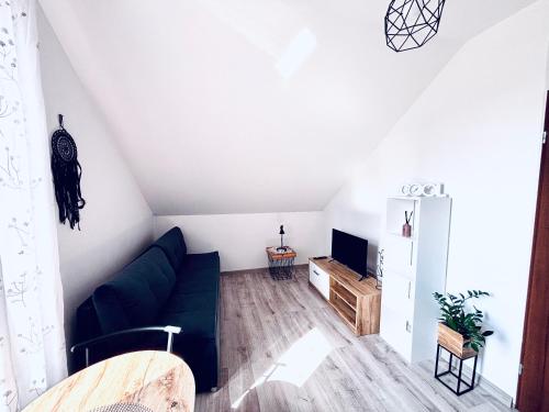 Apartament Salton