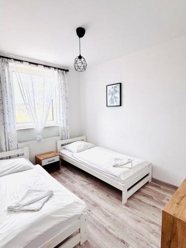 Apartament Salton