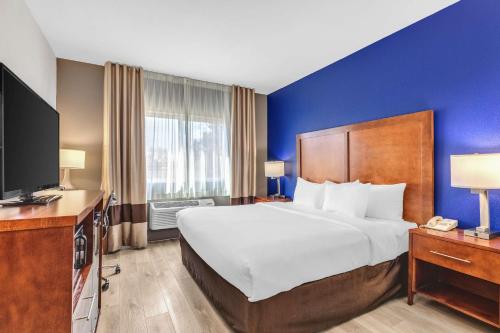 Comfort Inn Denver West Arvada Station - image 10