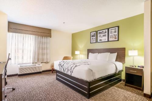 1 king bed, 1 sofa bed