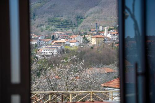 Appartamenti Aria di Verde 2