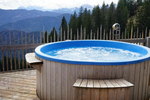 สระว่ายน้ำ, Naturhotel & Bayernhütte am Brauneck (Naturhotel & Bayernhutte am Brauneck) in เลงกริส