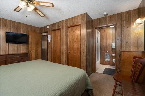 Papa Bear Cabin - 3BR/3BA Home - image 6