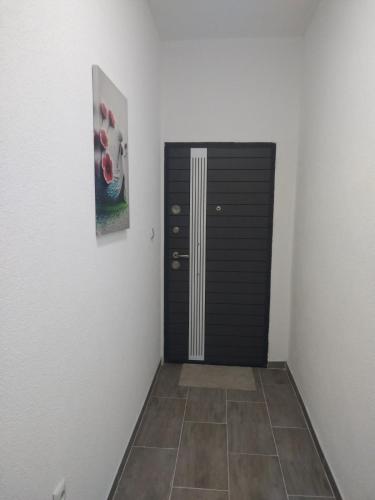 TVIS studios in جيفجيليجا