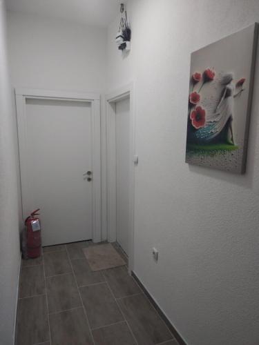 TVIS studios in جيفجيليجا