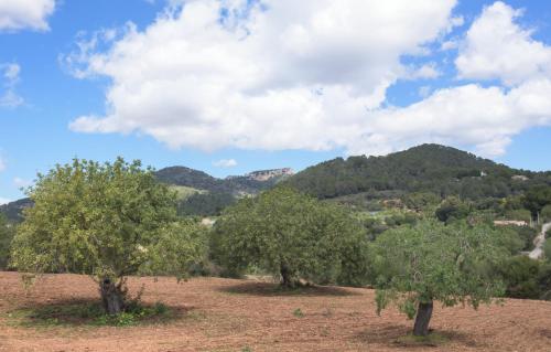 Finca Batlet - image 12