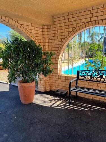 Alamo Motor Inn