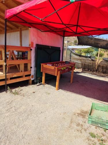 JAVALUNA cabaña, tinajas y vivero