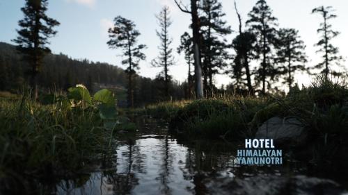 Apkārtne, Hotel Himalayan in Syanachatti