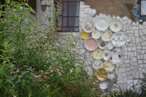 Kert, Truksvy Soutpan Guesthouse in Groenvlei