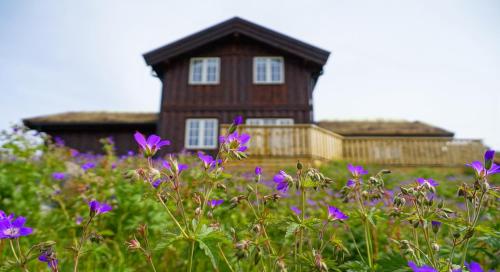 Feriehus med 5 soverom - Vierli Hyttegrend