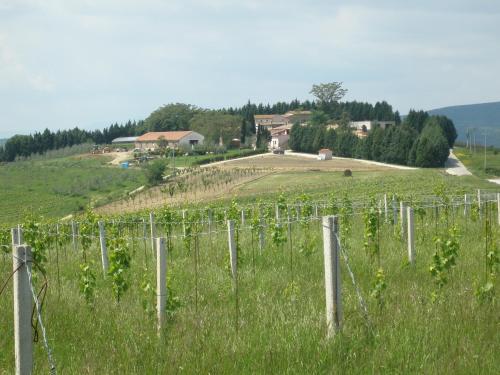 Agriturismo San Cristoforo di Marco e Andrea