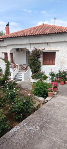 Aggelos Guest House in Orchomenos