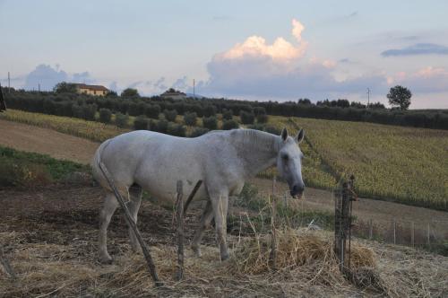 Agriturismo San Cristoforo di Marco e Andrea