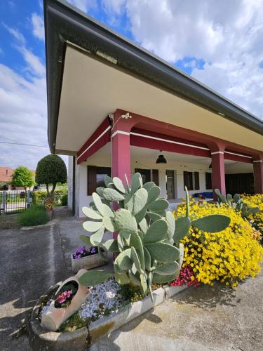 Casa Loretta in Due Carrare