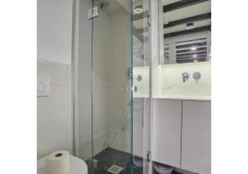 Duplex Center of Paris - 화장실