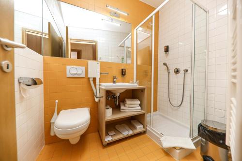 Hotel Celjska Koca - image 2