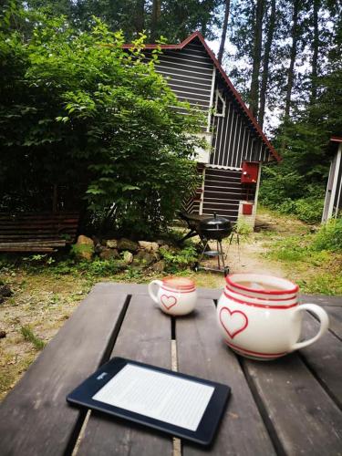 บริการและสิ่งอำนวยความสะดวก, Chata Libošovice 109 (Chata Libosovice 109) in เวเซซ