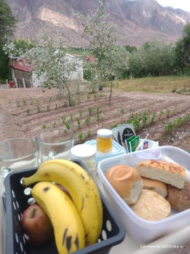 Dormir con llamas in Maimara