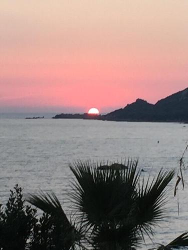 Vacances pieds dans l eau in Casaglione