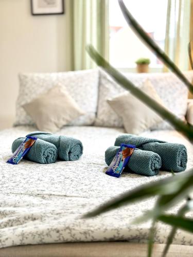 COZEE - Spacious Apartment With Netflix, Kaiserslautern (fotografie 5)