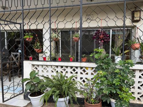 Wakawaka Hostel Arusha in 阿魯沙