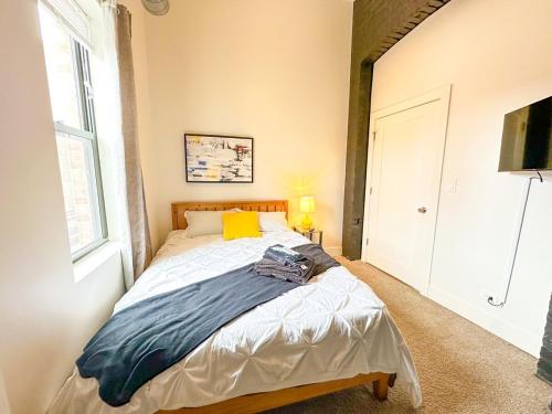 Spacious 3BR in South Loop 420 Friendly Near McCormick Place, Soldier Field and Lake Front, Chicago (fotografie 3)