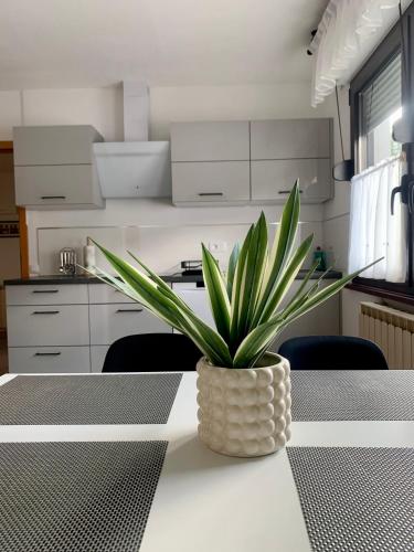 APARTMA PANORAMA in Kobarid