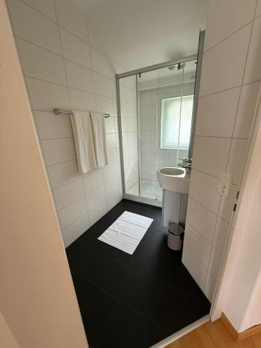 Spacious house with partial lake view, Lucerna (foto 3)