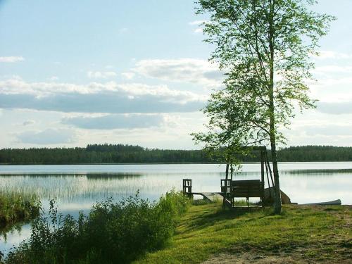 Loma Rinteela in Sotkamo