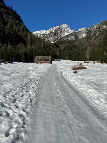 Спорт та розваги, Planinski dom - Mihov dom na Vršiču (Planinski dom - Mihov dom na Vrsicu) in Краньска Гора