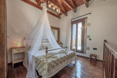 Evergreen in Stavros