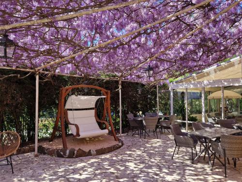 Facilities, Le Cosy in Saint Aygulf