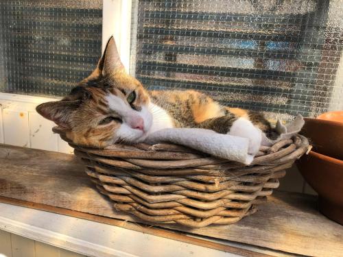 Huize Beemsterlaan in Boendermaker