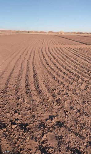 Omgivelser, ama in Mut