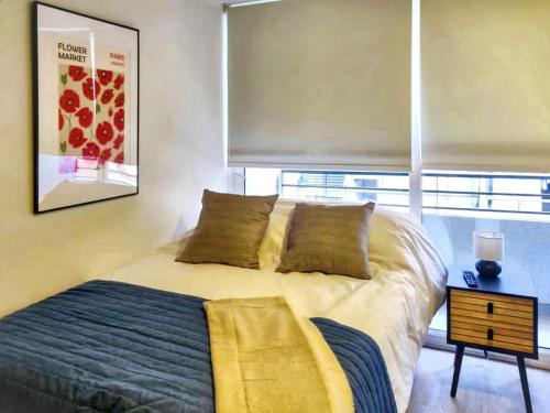 Urban Oasis Studio in Downtown Santiago