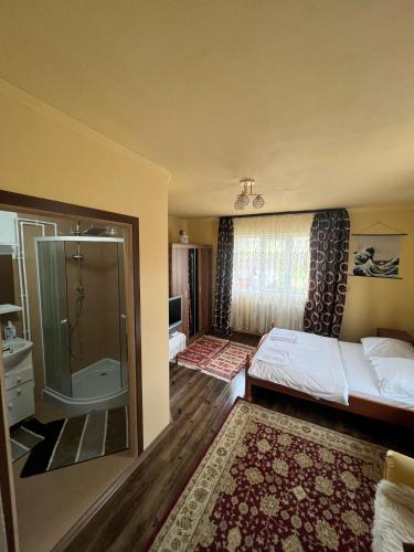 Pension Bud in Oncesti