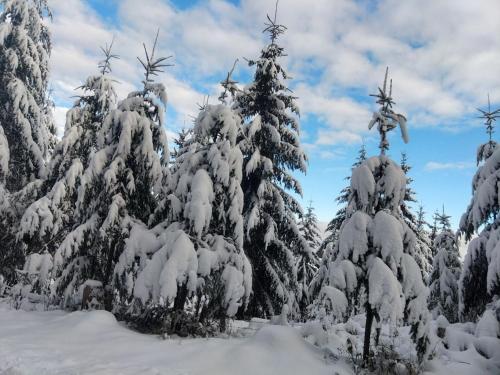 Green cube in La Courtine