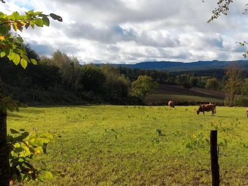 A környék, Green cube in La Courtine