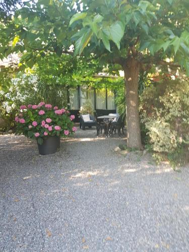 La Maison sur la Colline - image 5