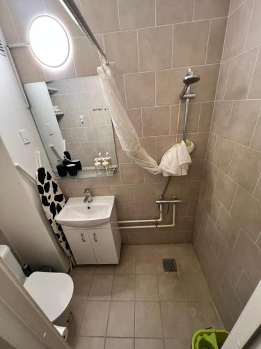 Studio Apartment in Airport Area, Kodaň (fotografie 4)