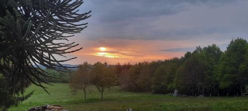 Kilátás, Green cube in La Courtine