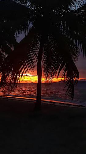 Exterior view, isla de san blas in El Porvenir