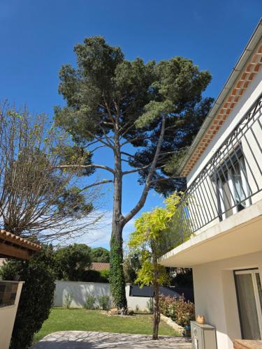 Villa MOOREA pool barbecue PROVENCE in Entraigues-sur-la-Sorgue
