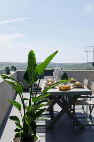 Civico Savoia Apartment Civico Savoia Apartment