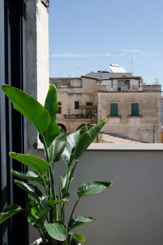 Civico Savoia Apartment Civico Savoia Apartment