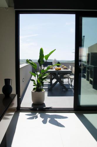 Civico Savoia Apartment Civico Savoia Apartment