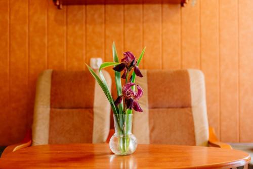 One-Bedroom Chalet image 1