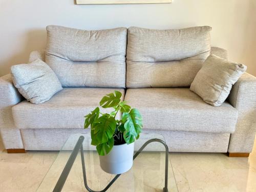 One-Bedroom Apartment image 2
