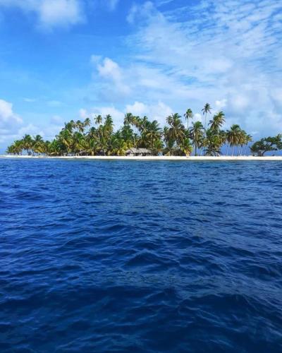isla de san blas in El Porvenir